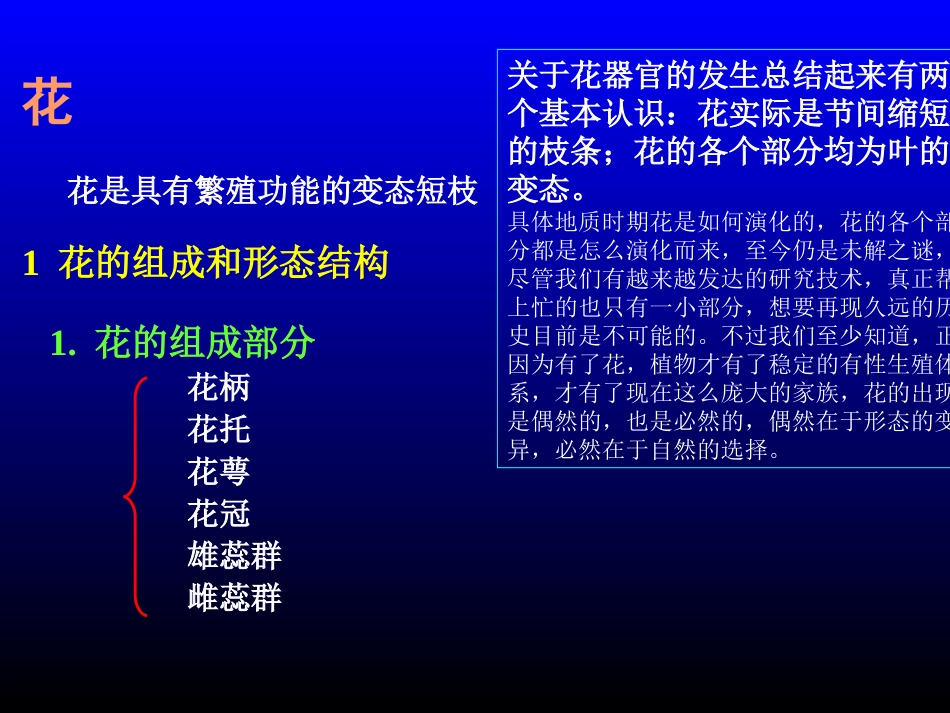花是变态的枝7.15_第1页