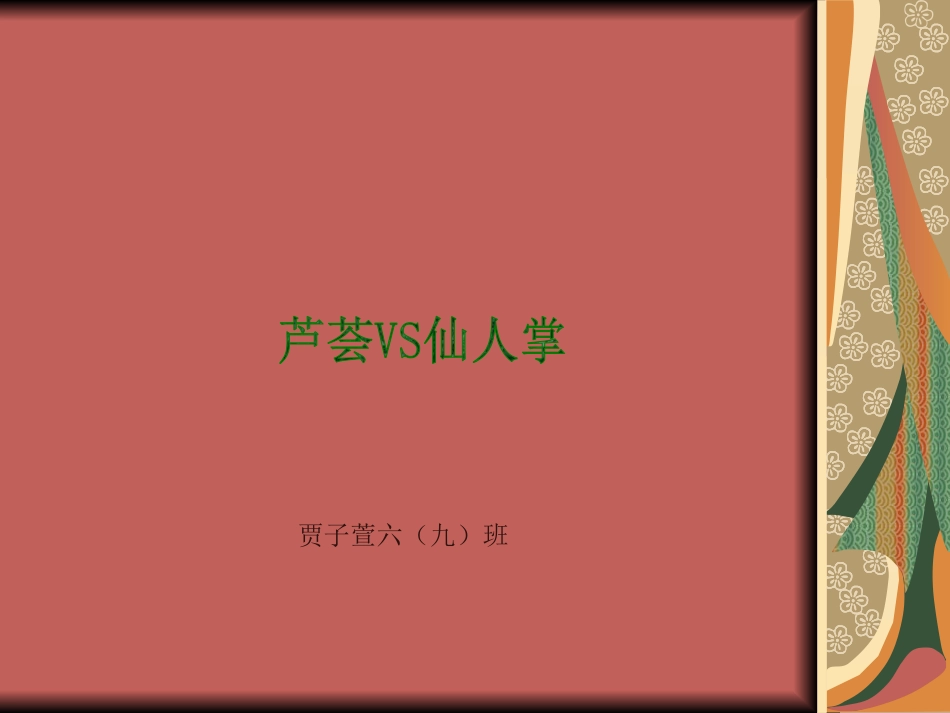 芦荟与仙人掌_第1页