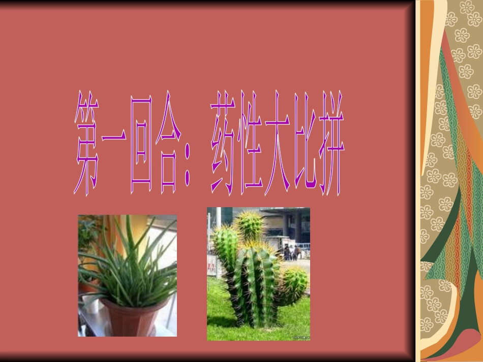 芦荟与仙人掌_第3页