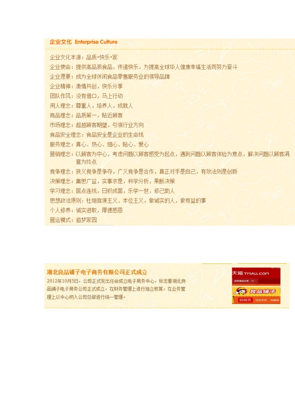 良品铺子网络营销策略分析_第3页