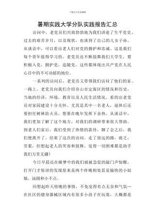 暑期实践大学分队实践报告汇总