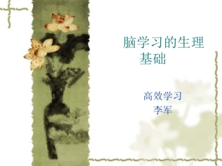 脑学习的生理基础