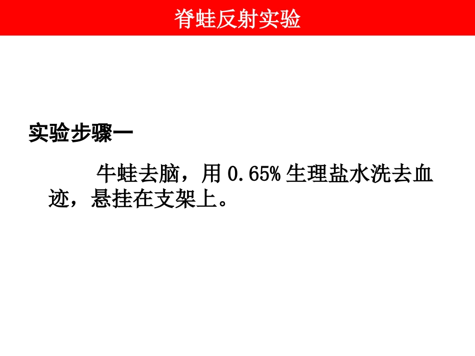 脊蛙反射实验_第1页