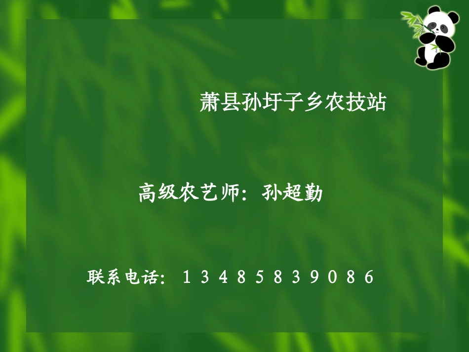 胡萝卜栽培技术课件_第2页