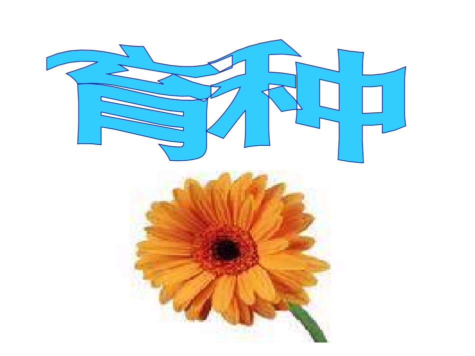 育种---省级示范性高中所用教学课件_第2页