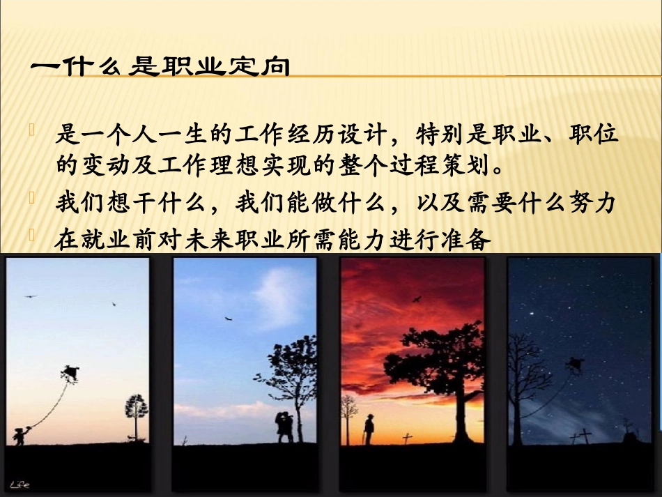 职业规划-职业定向_第3页