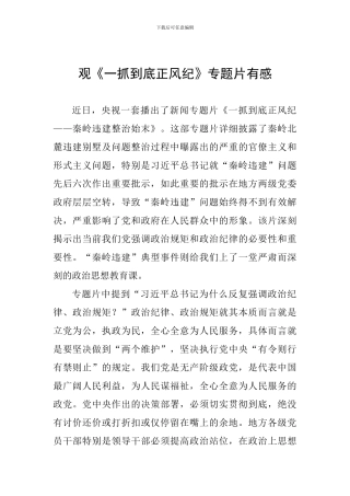观《一抓到底正风纪》专题片有感
