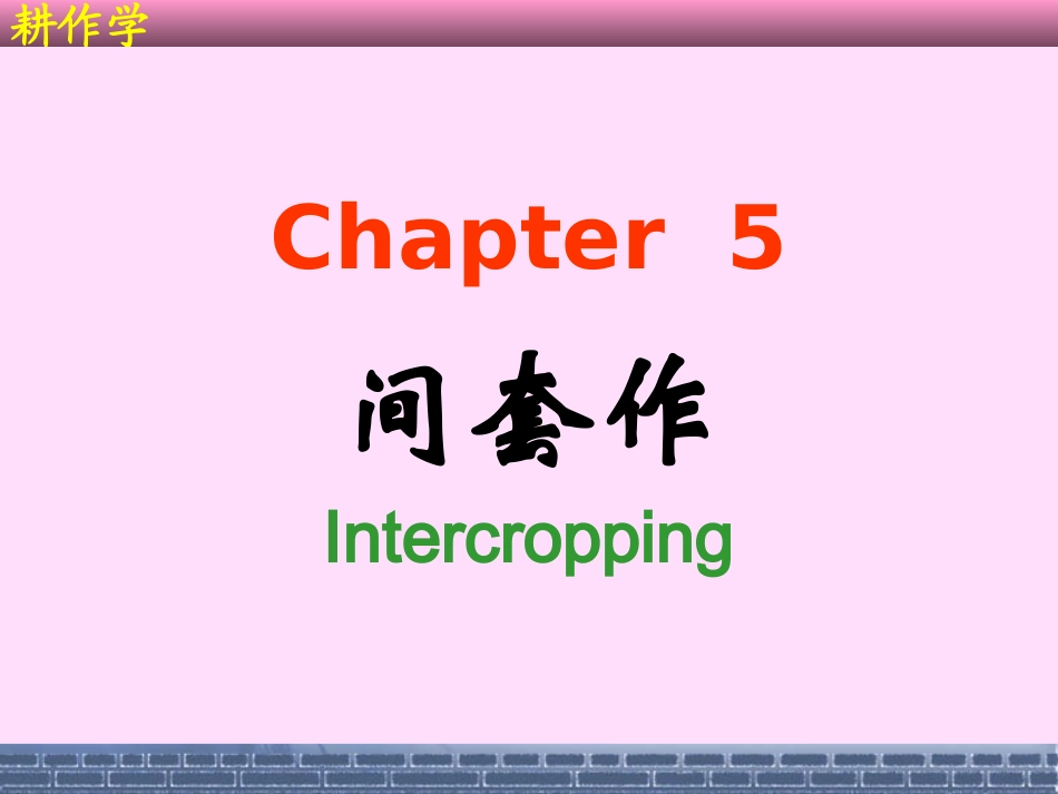 耕作学5-间套作_第1页