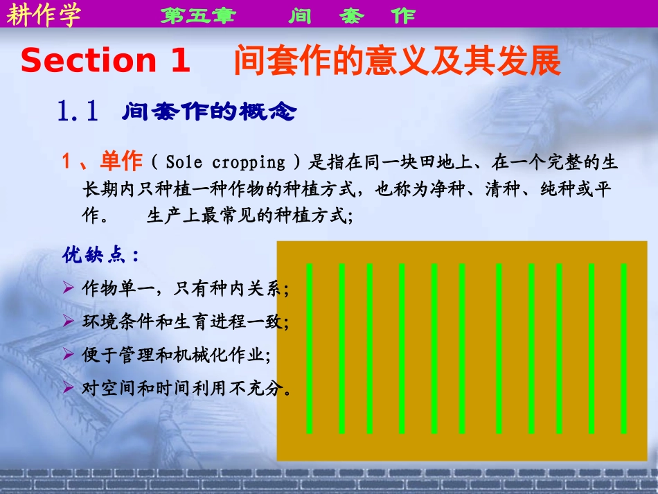 耕作学5-间套作_第2页