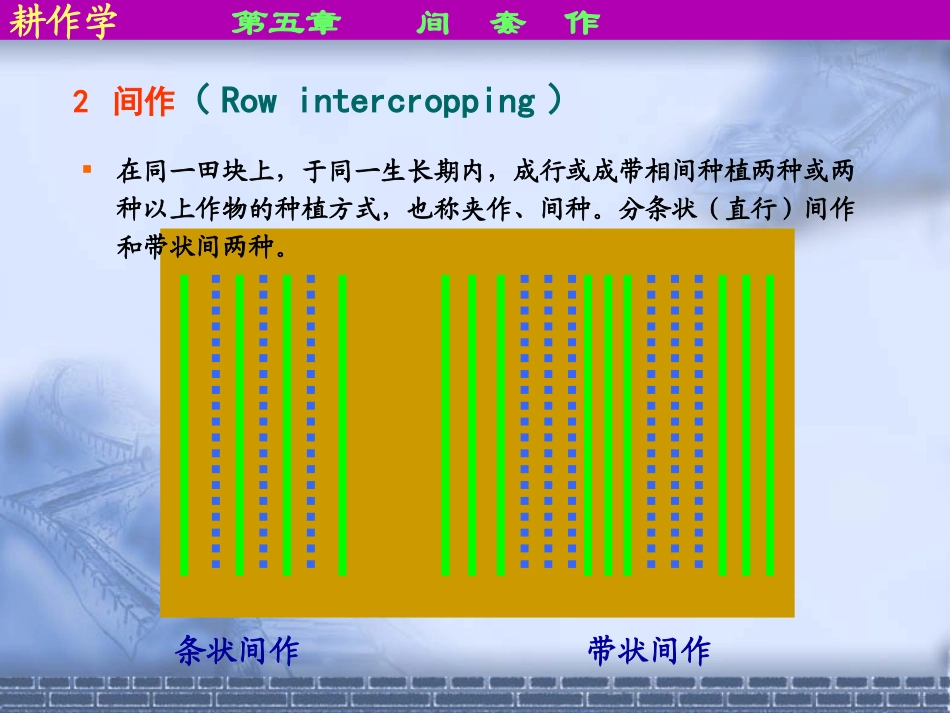 耕作学5-间套作_第3页