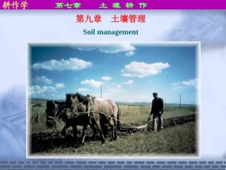 耕作学Chapter 7