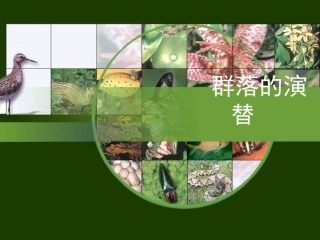 群落的演替-公开课