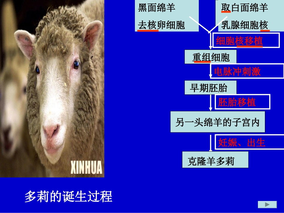 美国威斯康星州的一个奶牛场有一头名叫卢辛达(Lucinda..._第3页