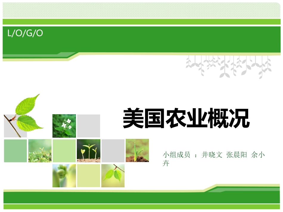 美国农业概况_第1页