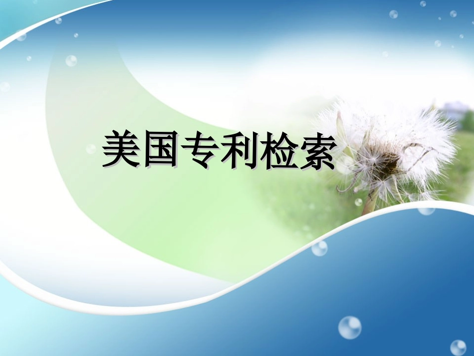 美国专利检索_第1页