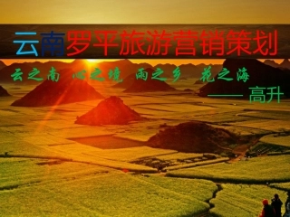 罗平旅游营销