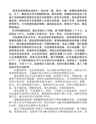缩短栽菇转潮期技术