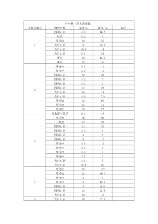 缙云山针叶林乔木