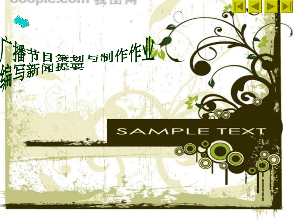 编写新闻提要_第1页