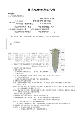 绿色植物的新陈代谢