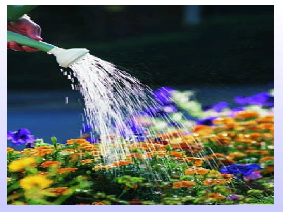 绿色生物生活需要水_第2页