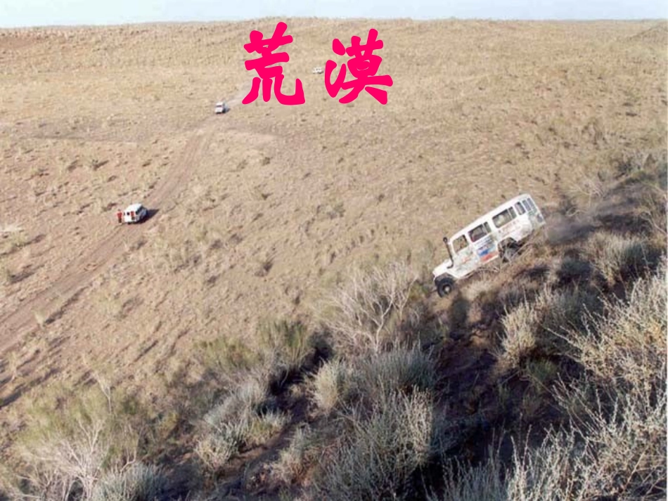 绿色生物生活需要水_第3页