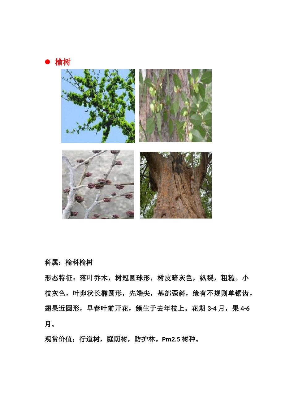 绿地公园玩植物学_第3页