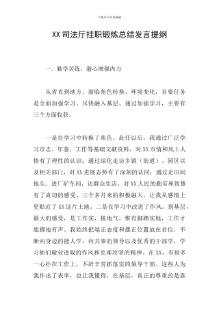 XX司法厅挂职锻炼总结发言提纲