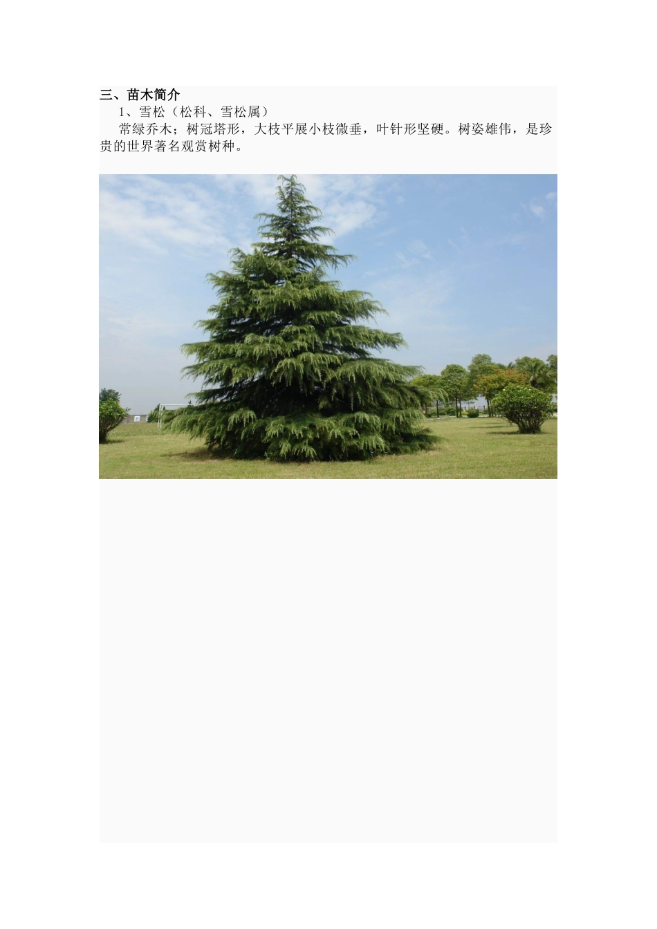 绿化种植常识11_第2页