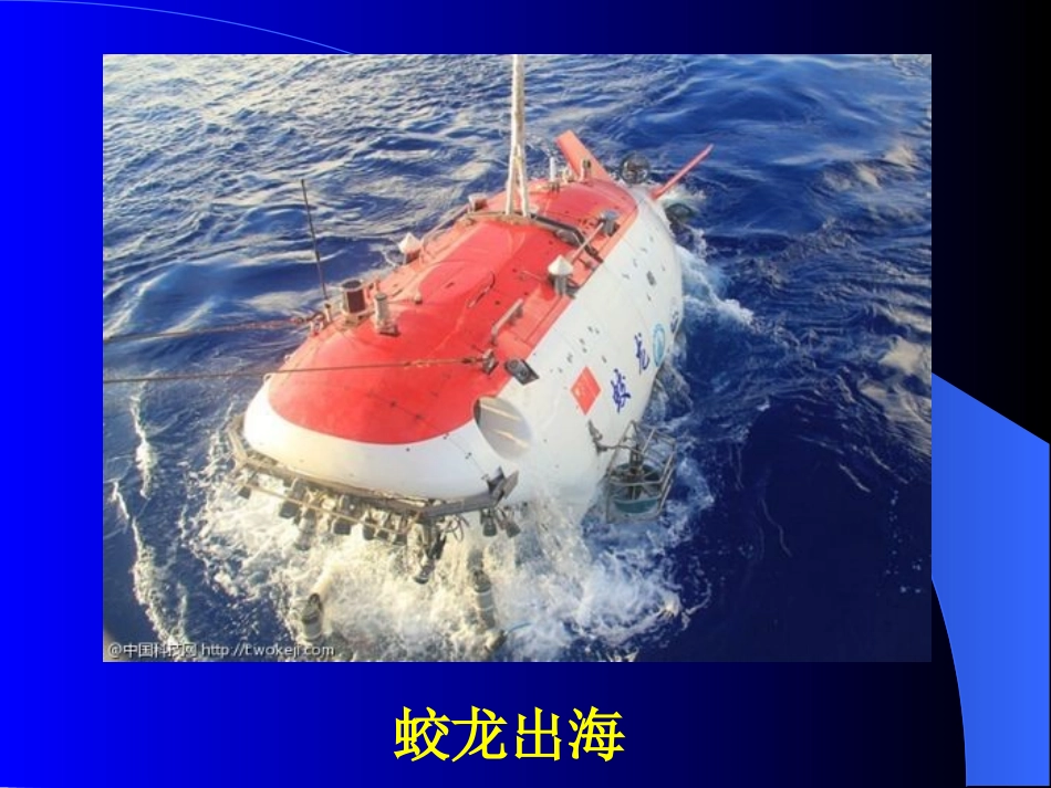 绪论、原生、海绵、腔肠动物门2003_第2页