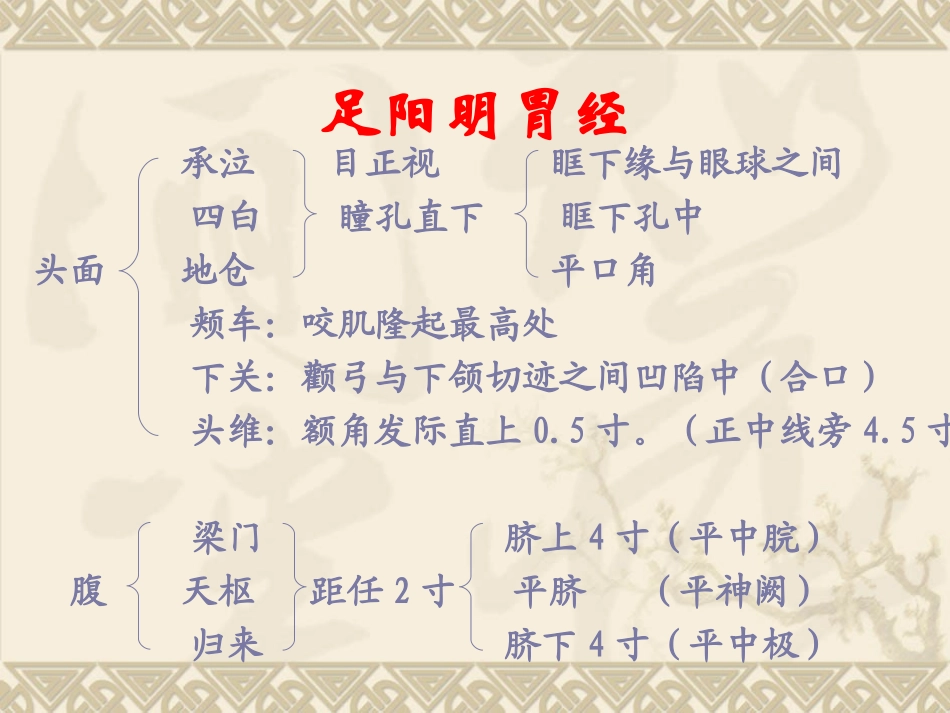 经络腧穴各论--足六经穴_第2页