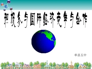 经济生活4.6积极参与国际经济竞争与合作