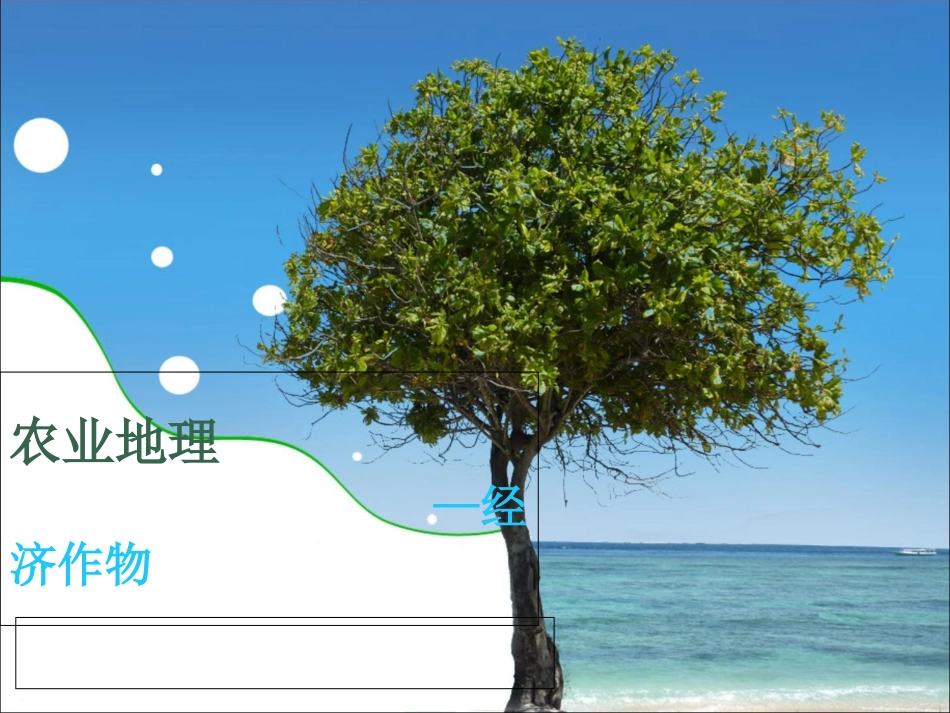 经济作物__PPT_第1页