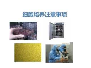 细胞培养注意事项
