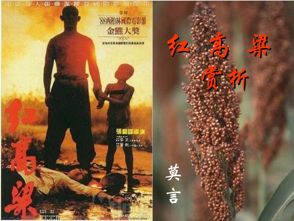 红高粱赏析_图文_第1页