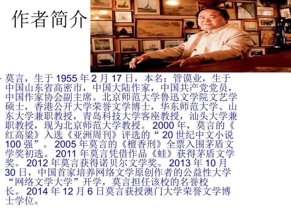 红高粱1545362_第2页