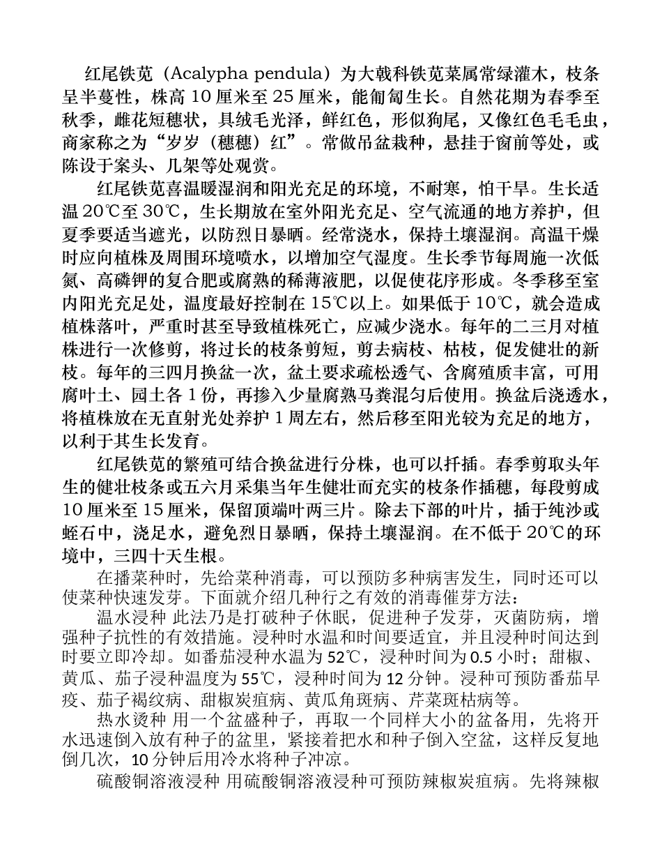 红尾铁苋的栽培要点_第1页