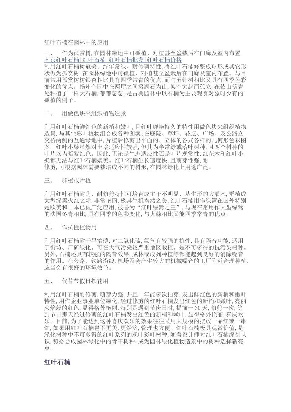 红叶石楠在园林中的应用_第1页