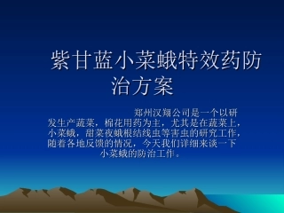 紫甘蓝小菜蛾甜菜夜蛾特效药