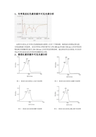 紫外可见光谱分析