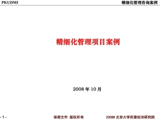 精细化管理项目案例