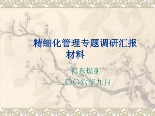 精细化汇报材料