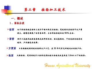 粮油加工--挂面加工