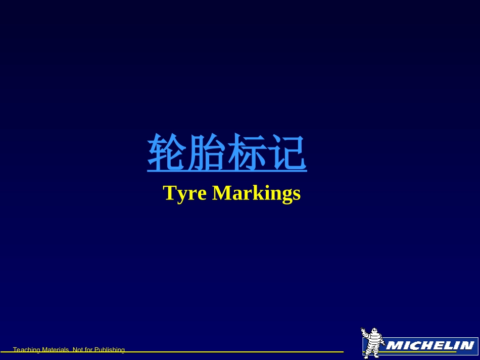 米其林轮胎标记解读_第2页