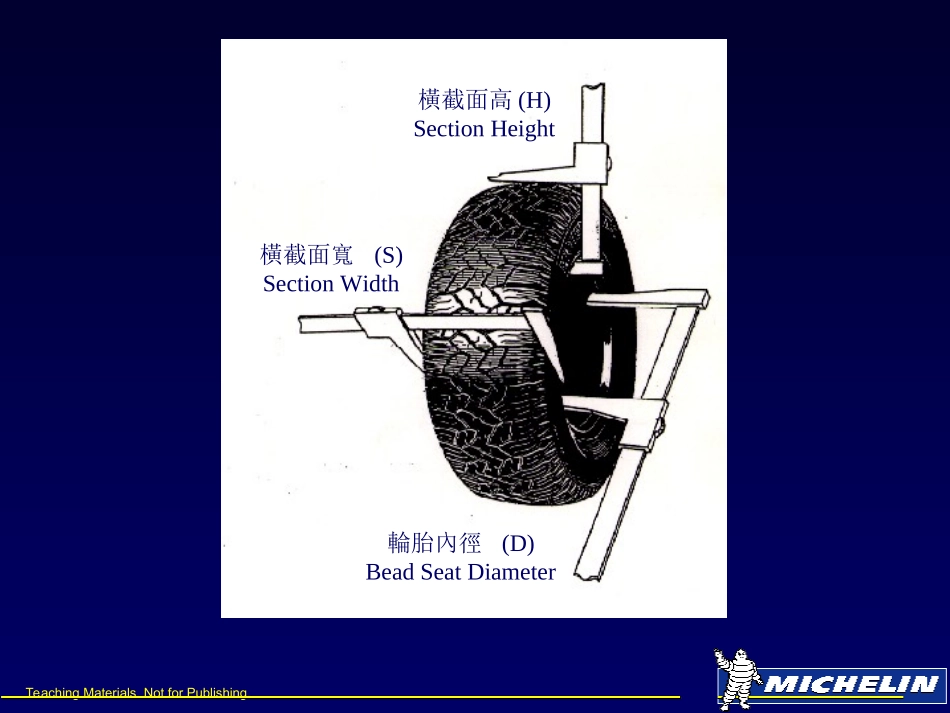 米其林轮胎标记解读_第3页