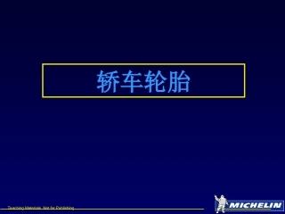 米其林轮胎标记解读