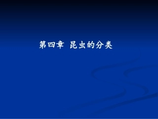第四讲 昆虫的分类