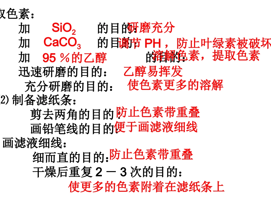 第四讲  光合作用_第3页