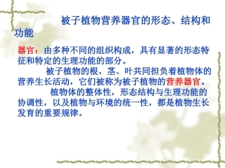 第四讲   根系的形态结构与建成过程1.1