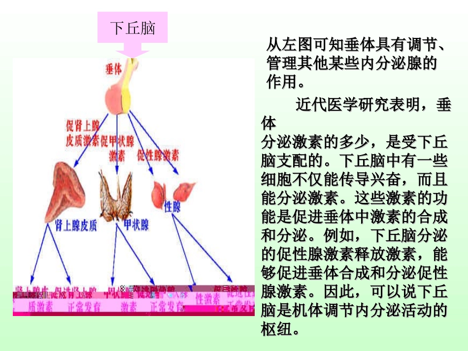 第四节_体液调节在维持稳态中的作用(第二课时)_第3页